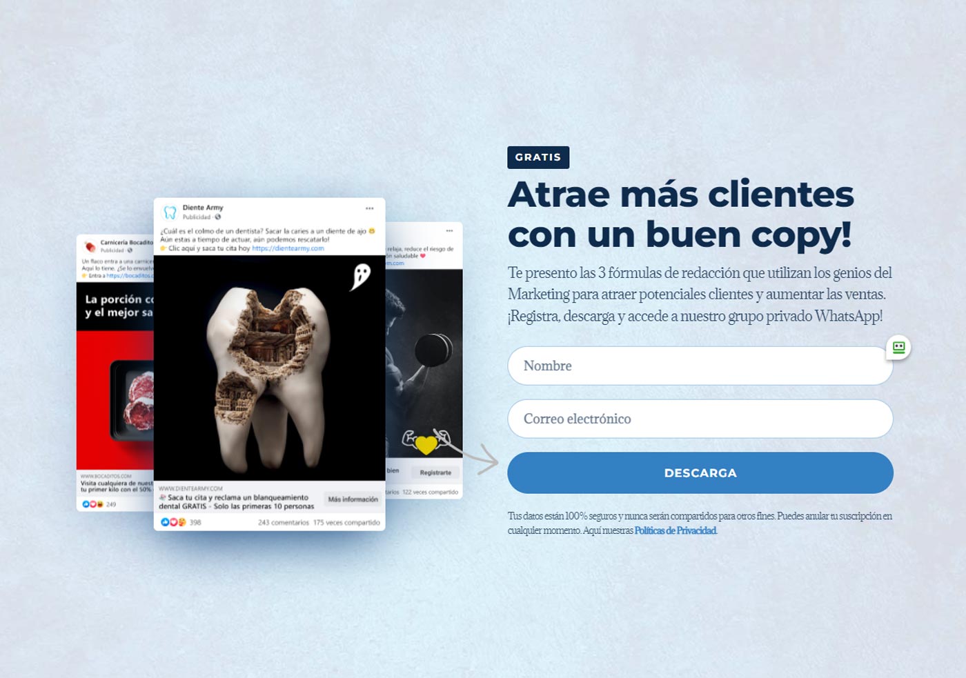 ejemplo de landing page consultor de marketing