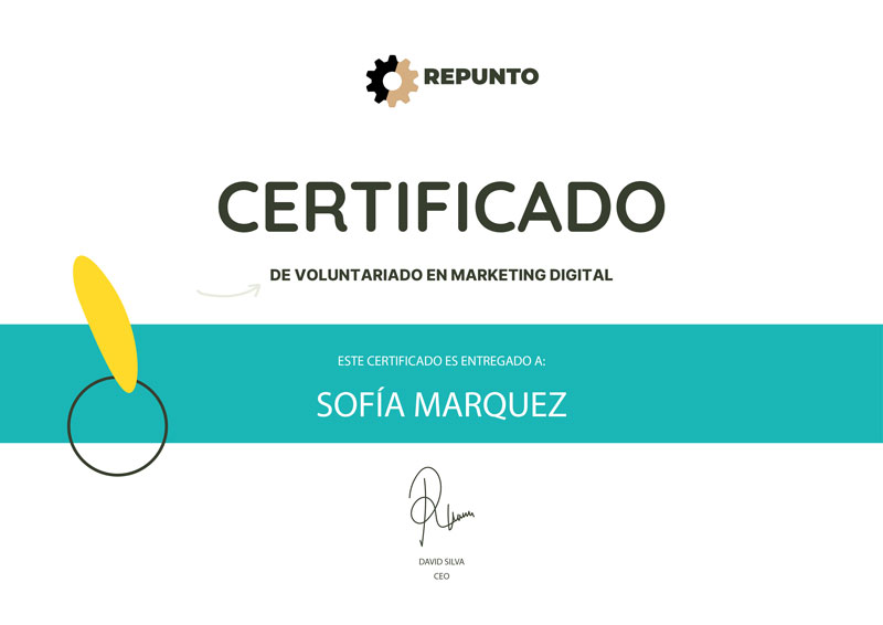 certificado voluntariado marketing digital repunto